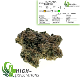 TROPICANA COOKIES