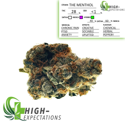 THE MENTHOL
